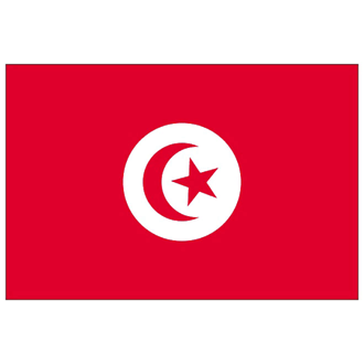 Flag of Tunisia 