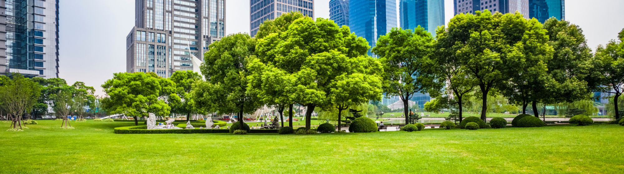 Urban park with green lawn and trees, skyscrapers in the background